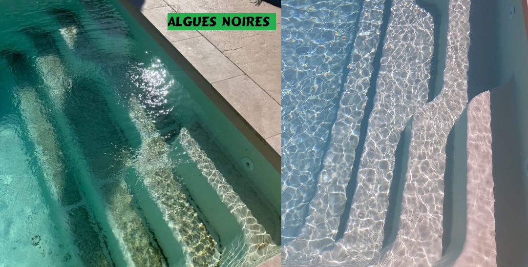 Traitement algues noires